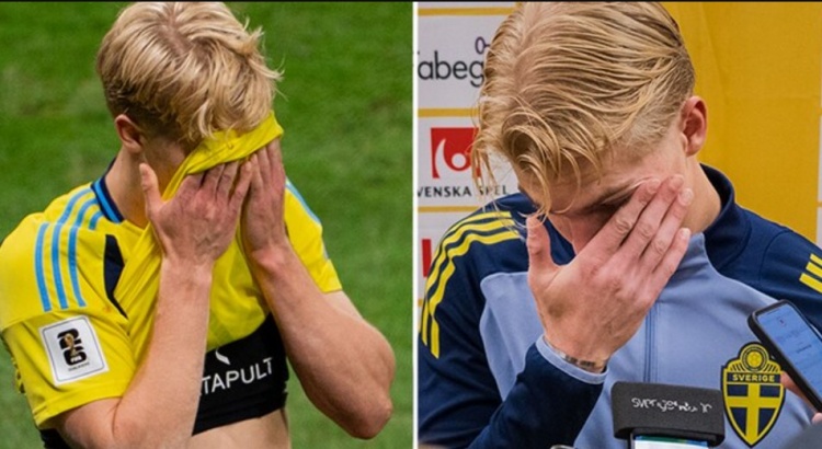 能错失良机, msn, 我们也会继 能错失良机, msn, 我们也会继