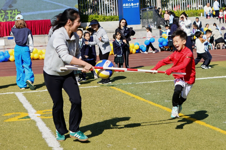 自主票选比 自主票选比
