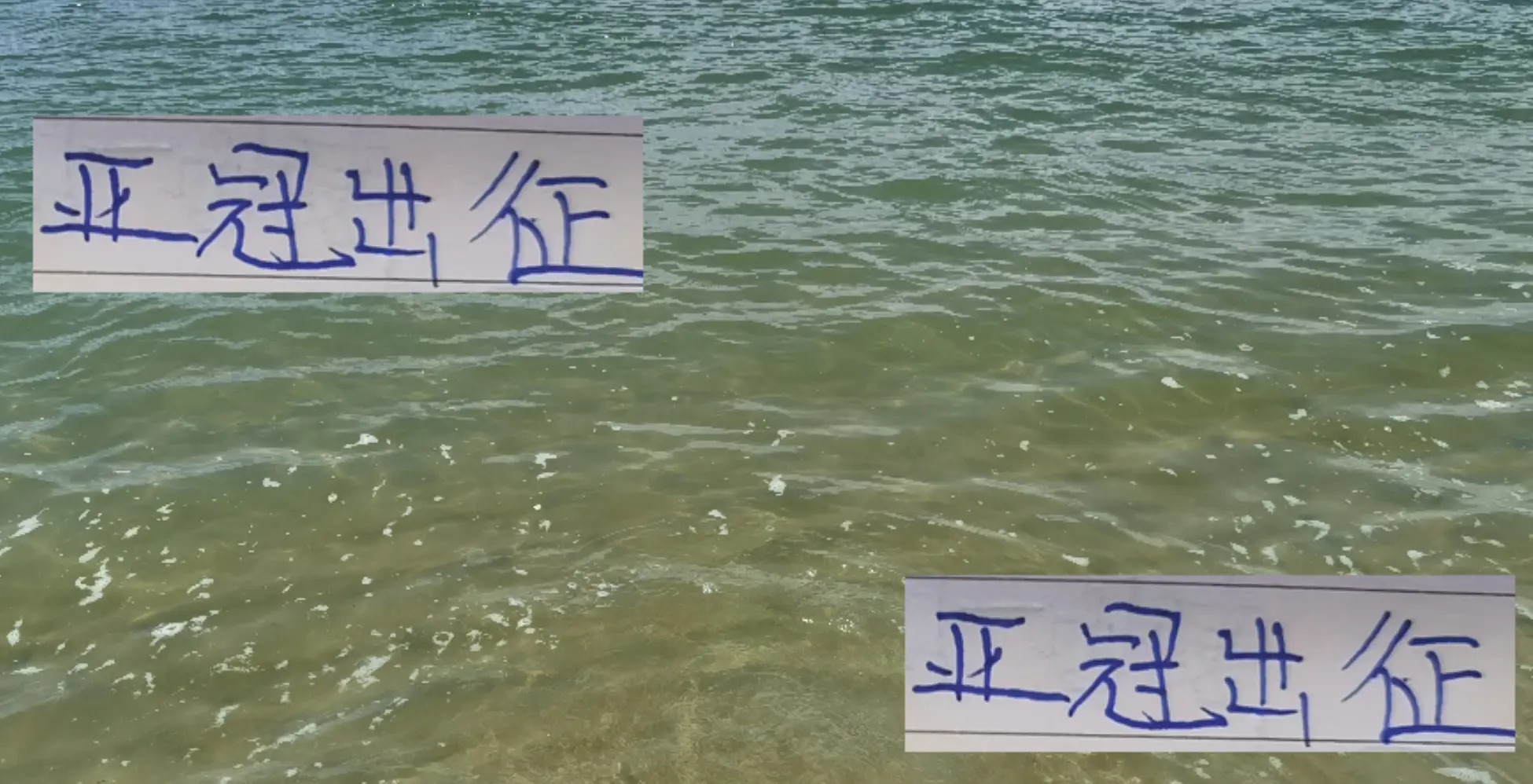 这对于申花, 岛海牛后, imedi